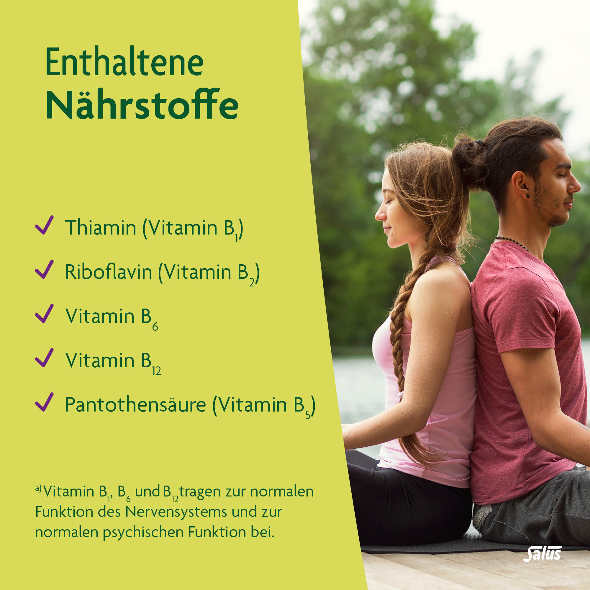SALUS Neuro Balance Ashwagandha, Bild 4 von 6