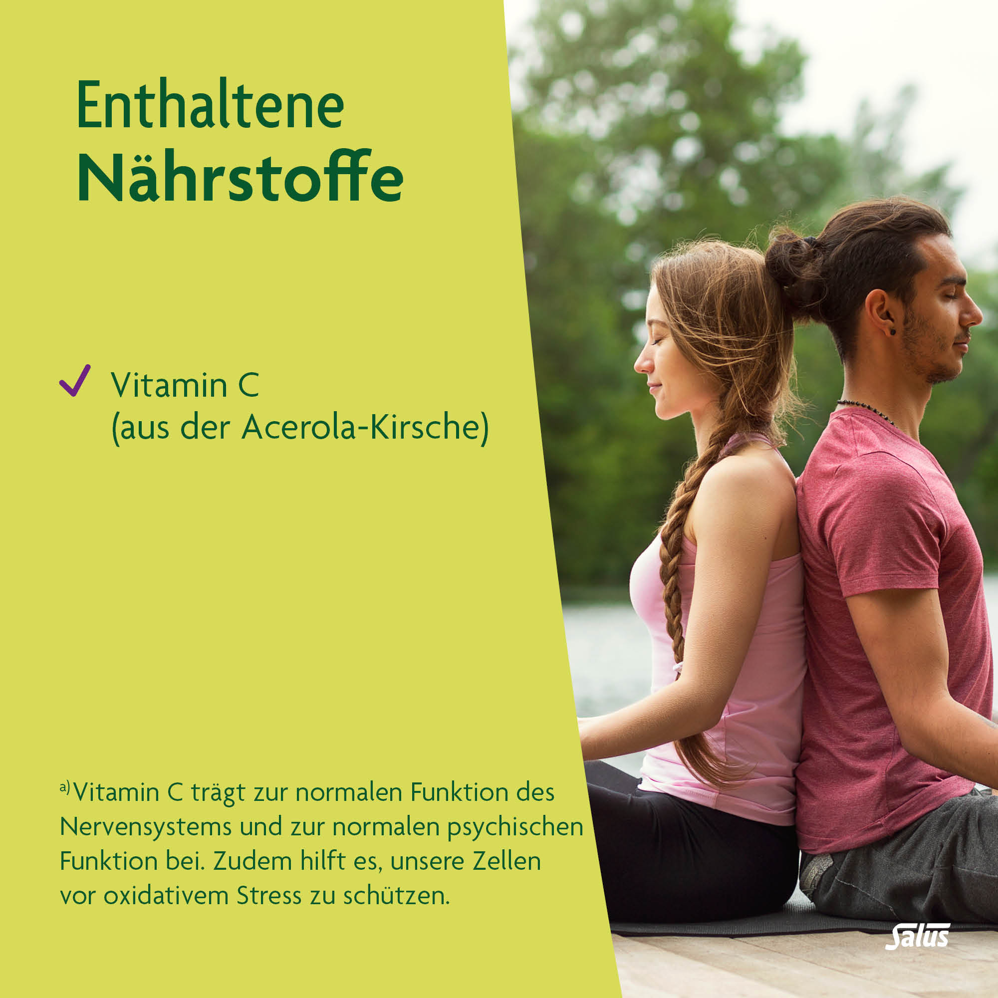 SALUS Neuro Balance ashwagandha tonique, image 4 sur 5