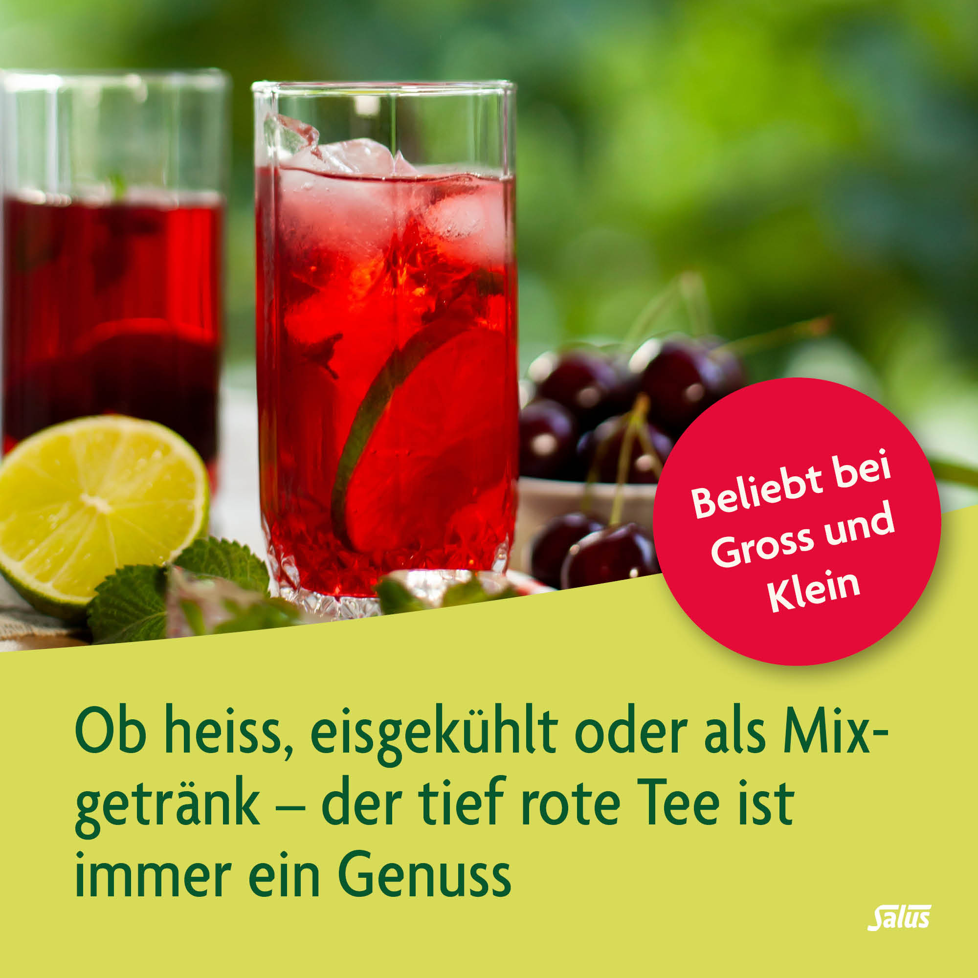 SALUS Paradies Früchtetee, Bild 3 von 5