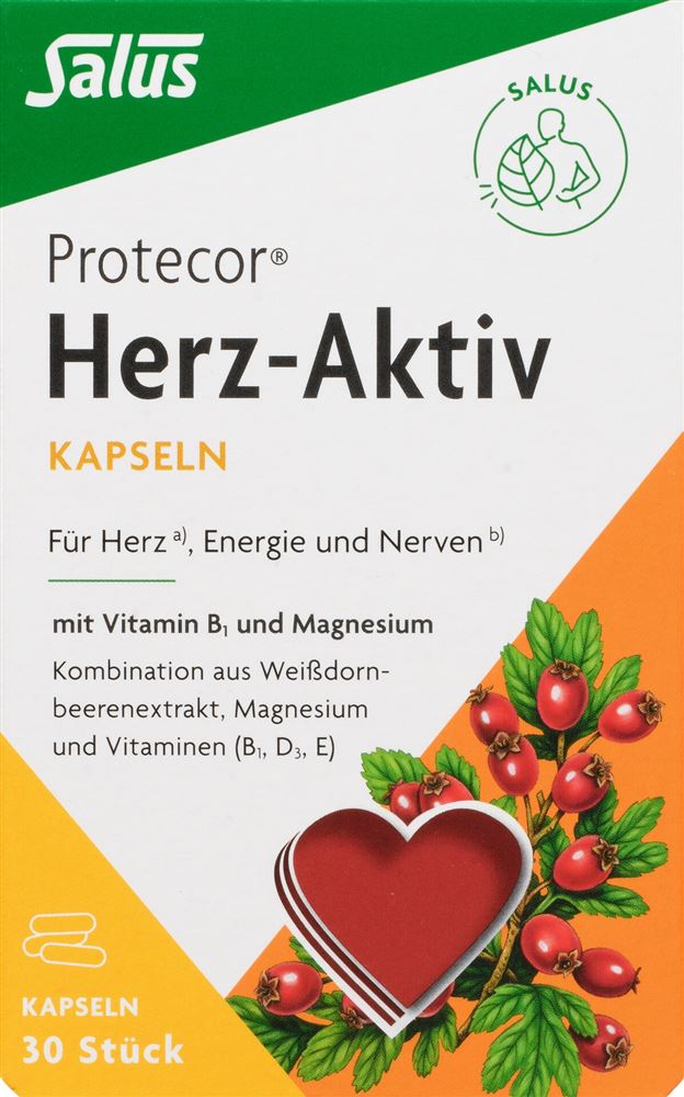SALUS Protecor Herz-Aktiv, Hauptbild