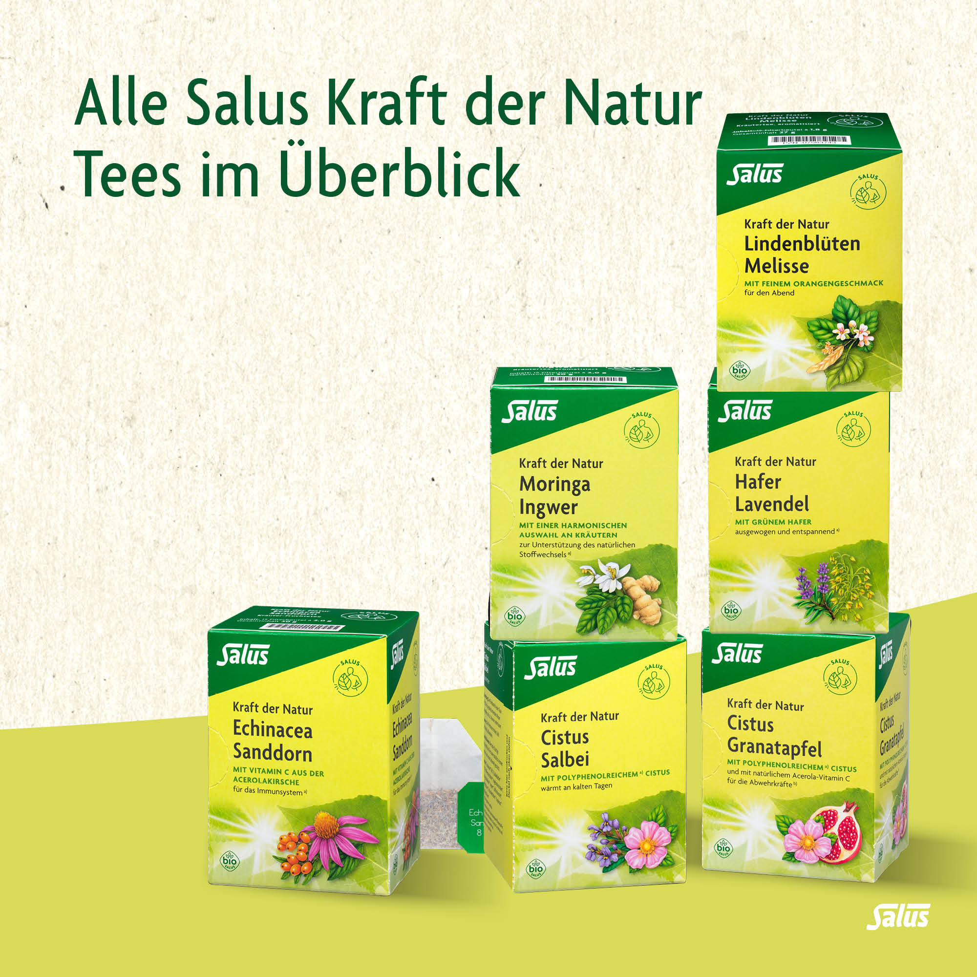 SALUS Tisane force de la nature, image 4 sur 4