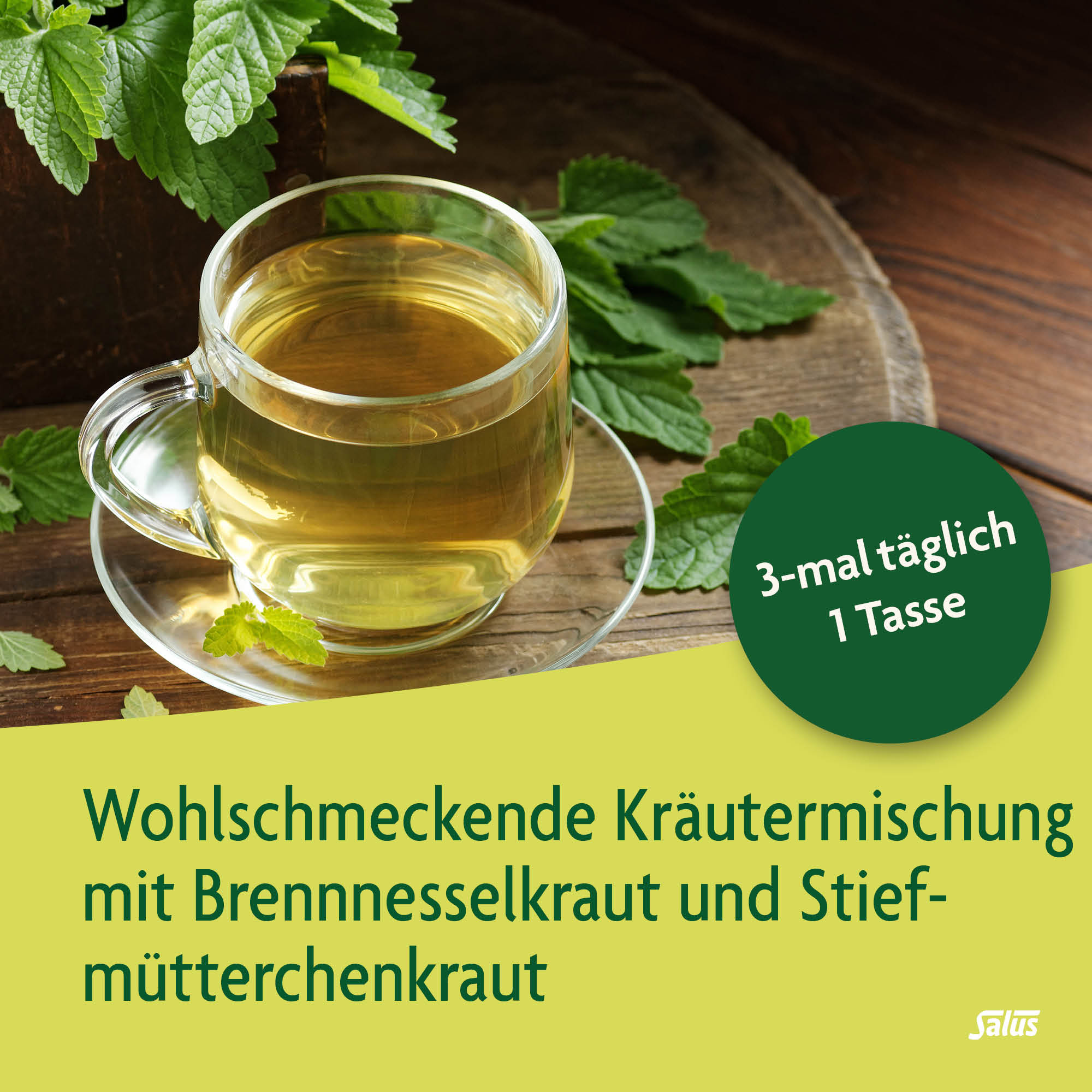 SALUS Tisane pour la peau, image 3 sur 4