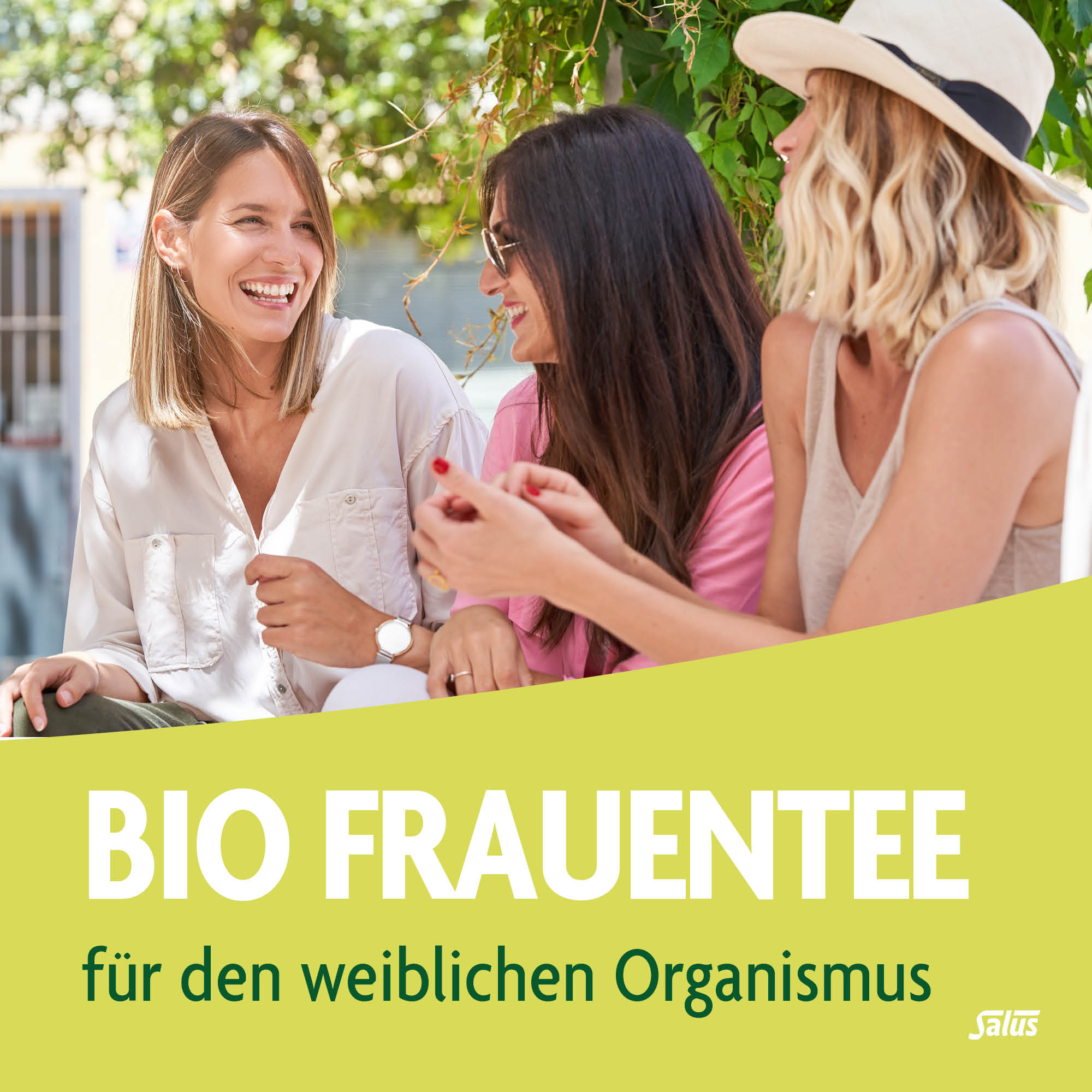 SALUS Tisane pour les femmes, image 2 sur 5