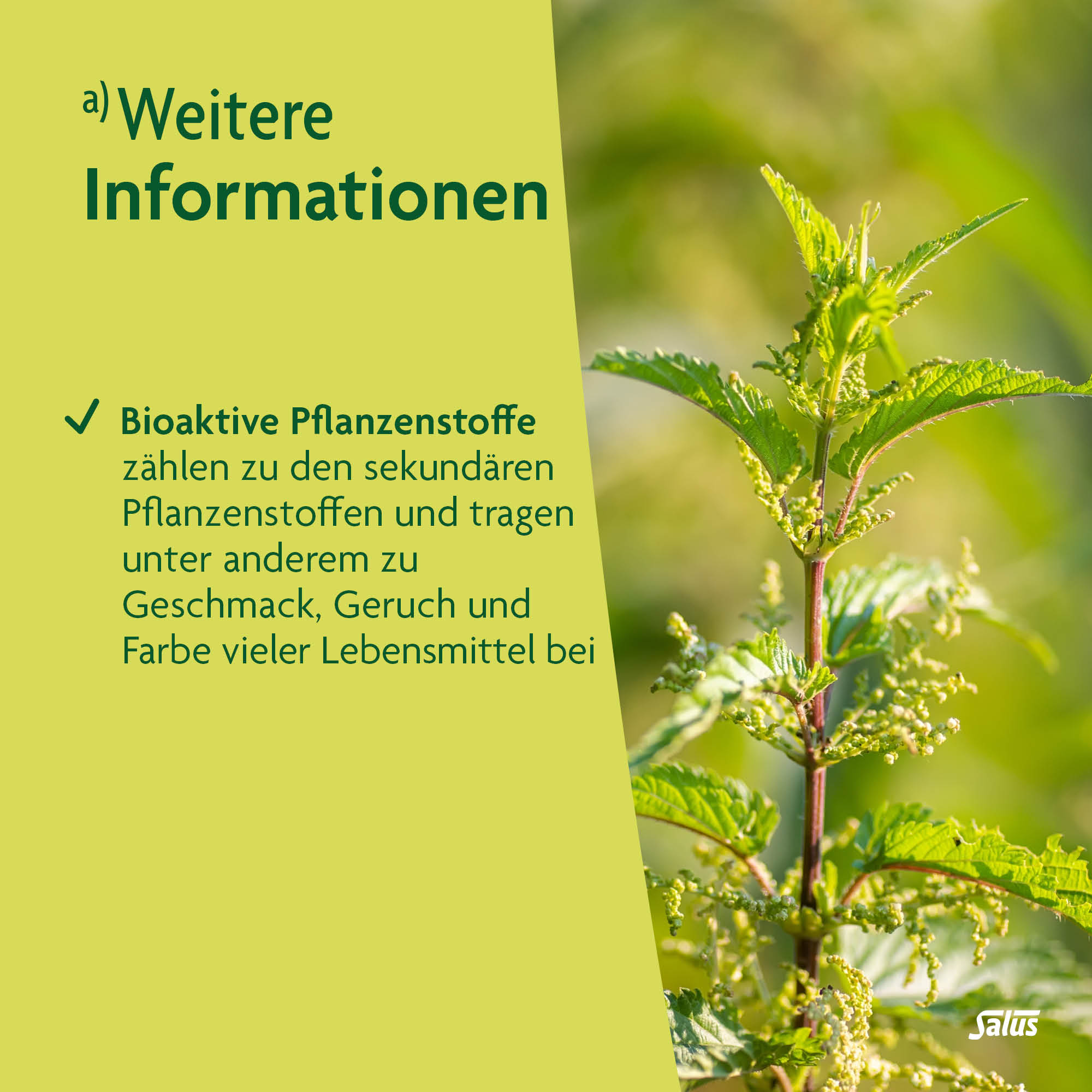 SALUS Venen-Fit Tee, Bild 4 von 4
