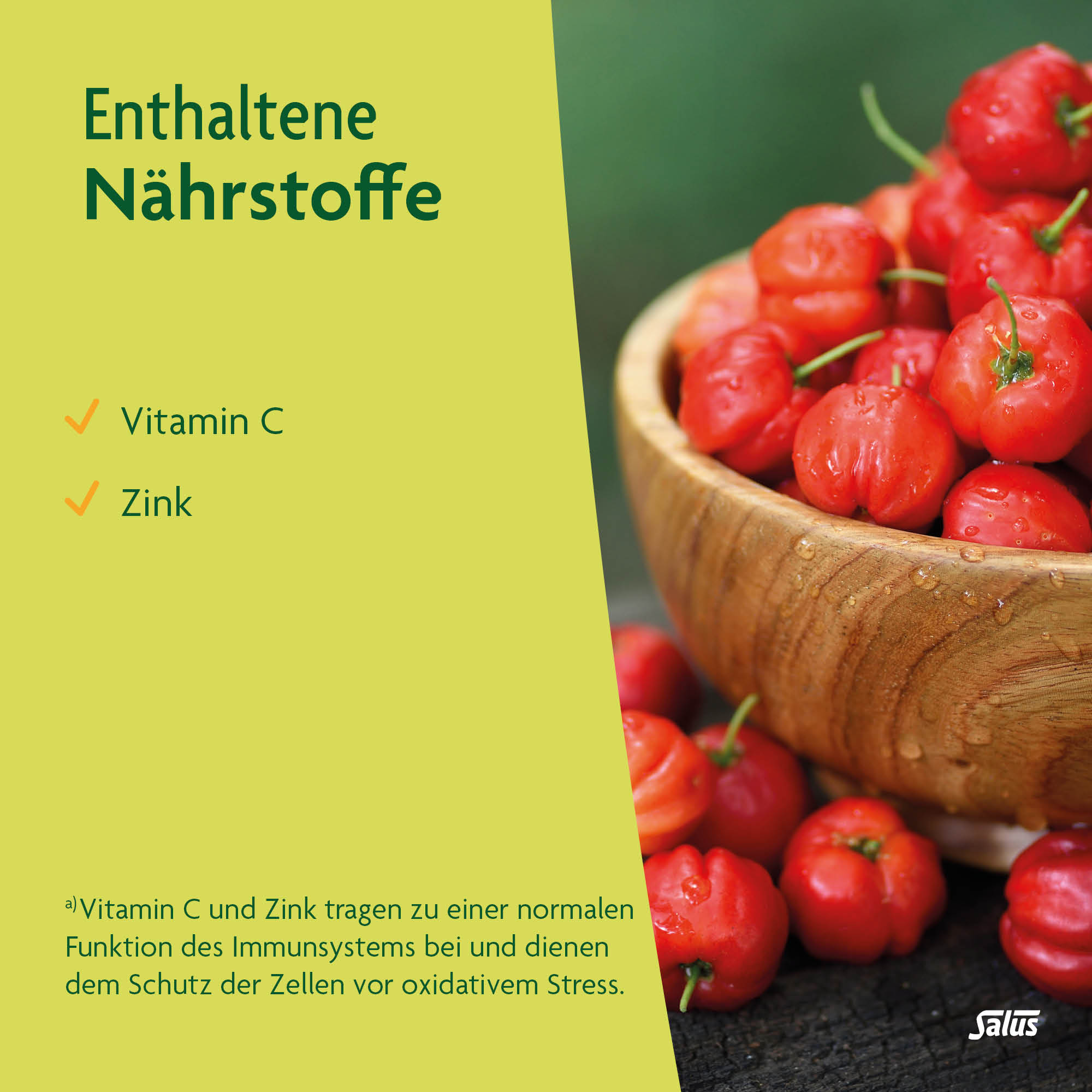 SALUS Vitamin C 300 Depot + Zink, Bild 5 von 6