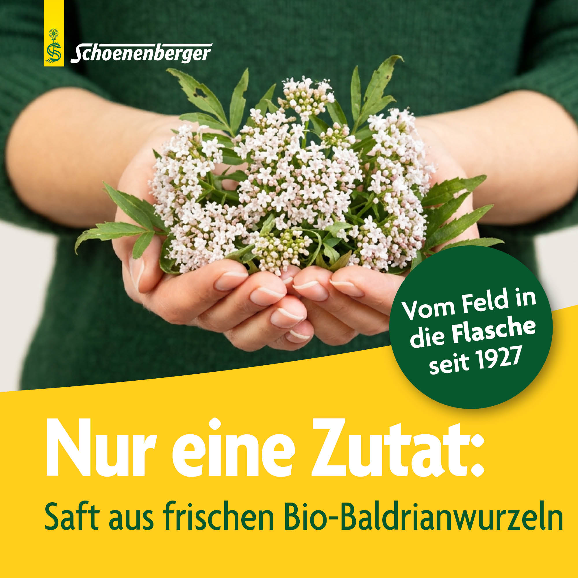 SCHOENENBERGER Baldrian Frischpflanzensaft, Bild 3 von 6
