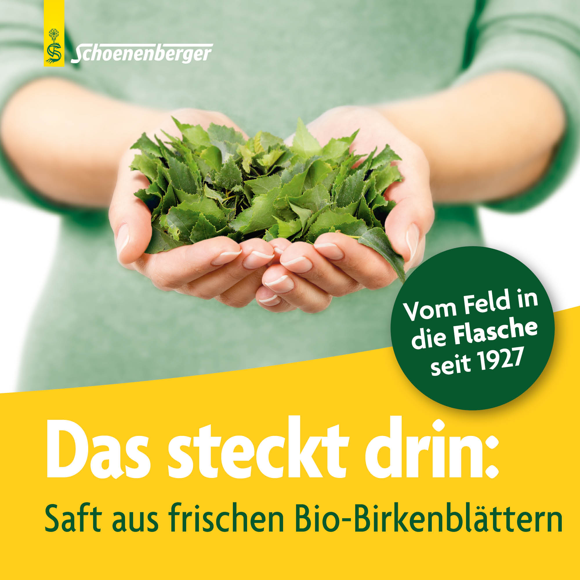 SCHOENENBERGER Birke Frischpflanzentrunk, Bild 3 von 6