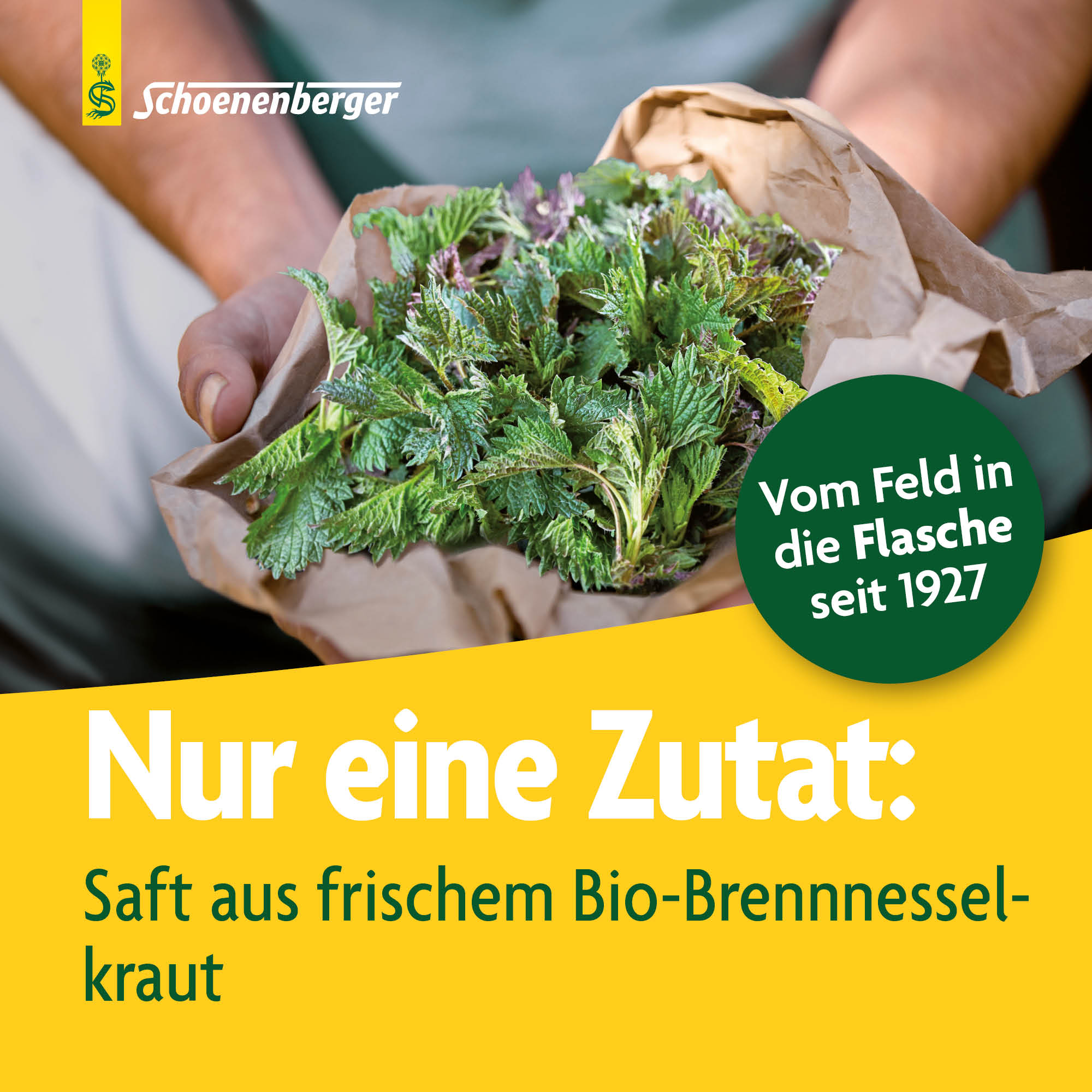 SCHOENENBERGER Brennnessel Frischpflanzensaft, Bild 3 von 6