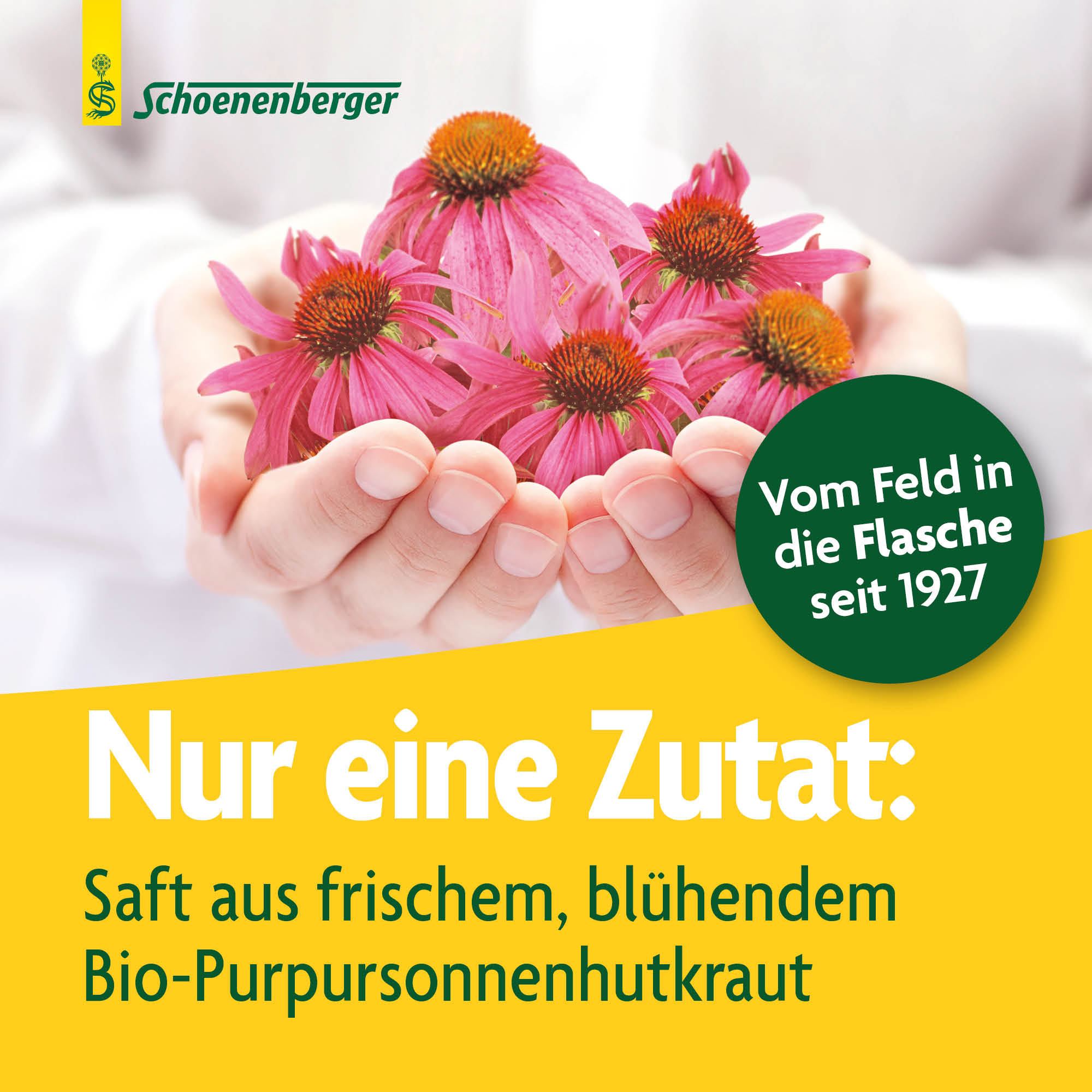 SCHOENENBERGER Echinacée suc de plantes fraîches, image 3 sur 6