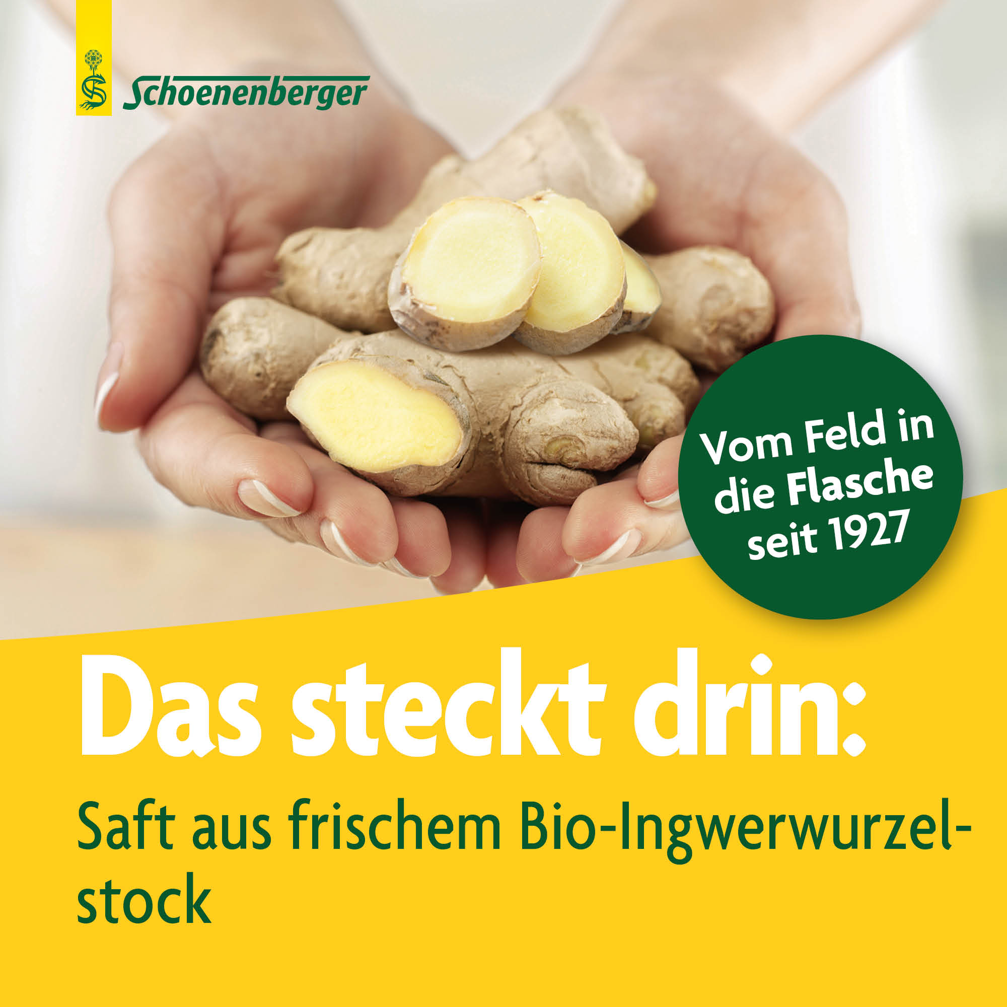 SCHOENENBERGER Gingembre boisson de plantes fraîches, image 3 sur 6