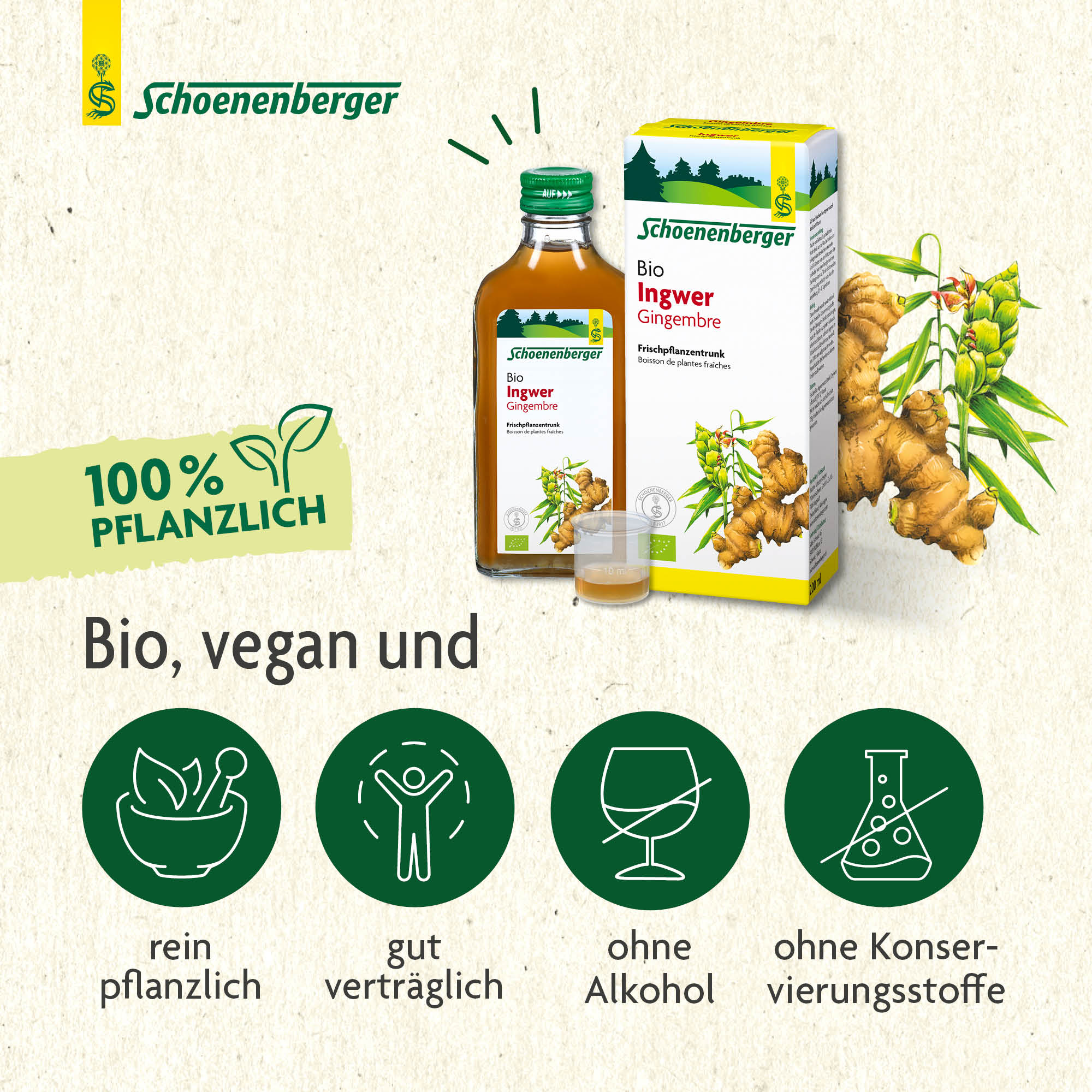 SCHOENENBERGER Gingembre boisson de plantes fraîches, image 4 sur 6