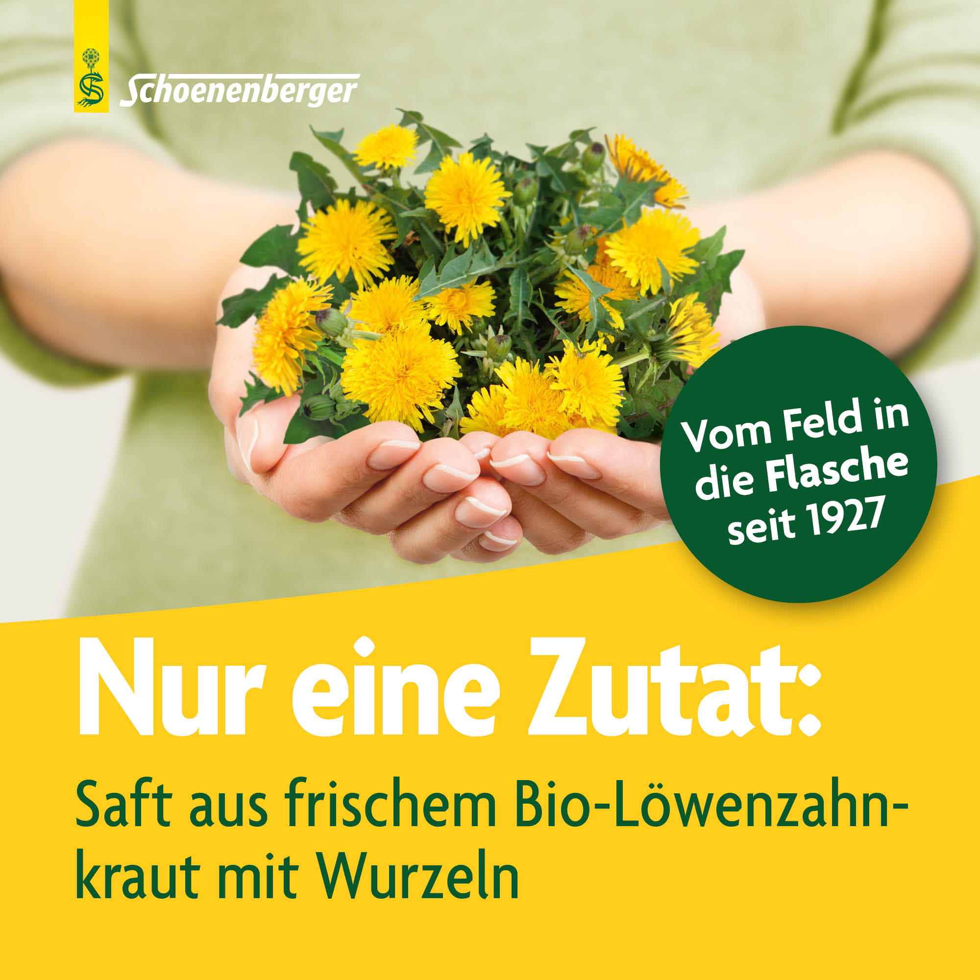 SCHOENENBERGER Pissenlit suc de plantes fraîches, image 3 sur 6