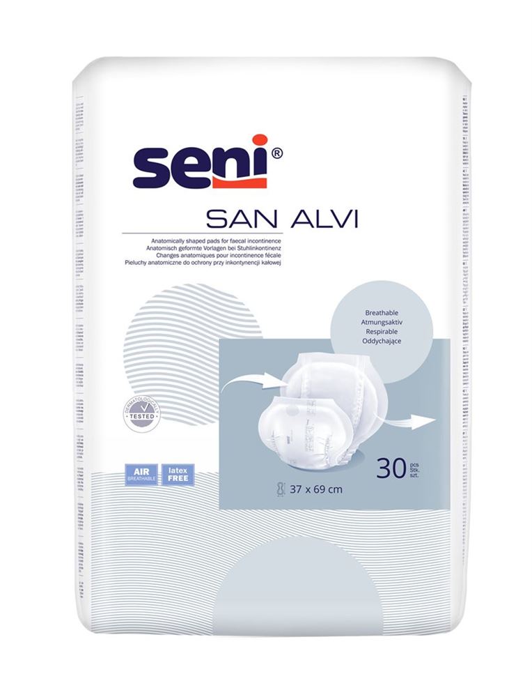 Seni San Alvi