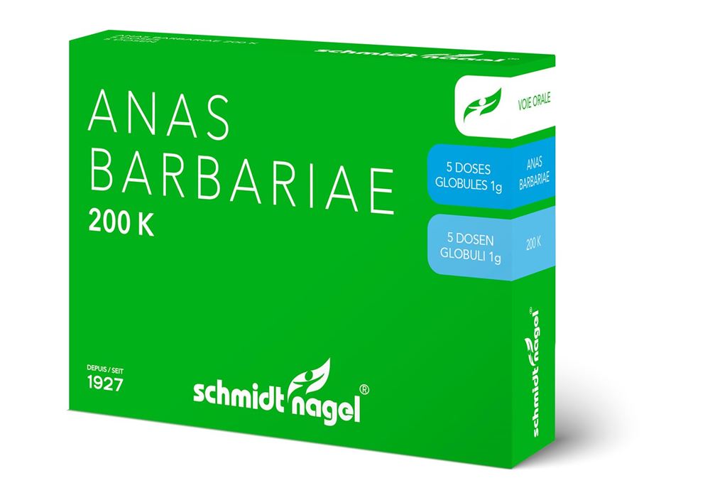 SCHMIDT-NAGEL Anas barbariae 200 K, Hauptbild