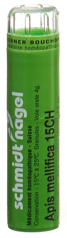 , immagine principale