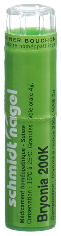 , immagine principale