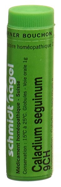 SCHMIDT-NAGEL caladium seguinum 9 CH, image principale