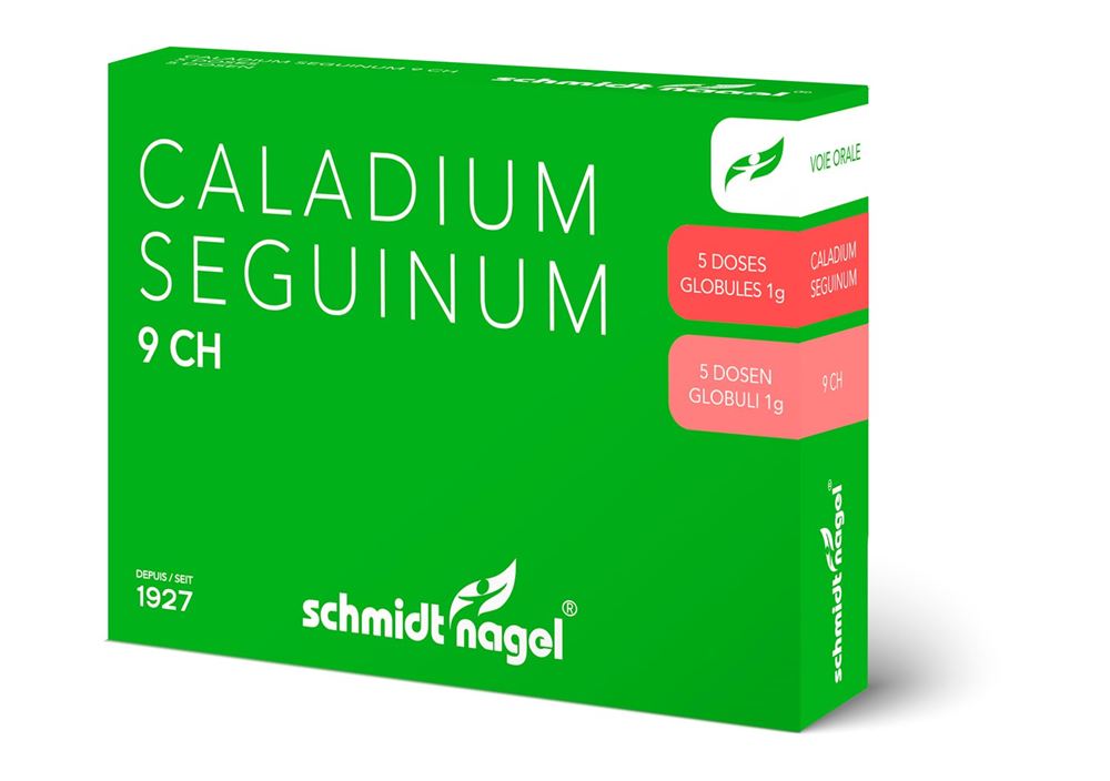 SCHMIDT-NAGEL Caladium seguinum 9 CH, Hauptbild