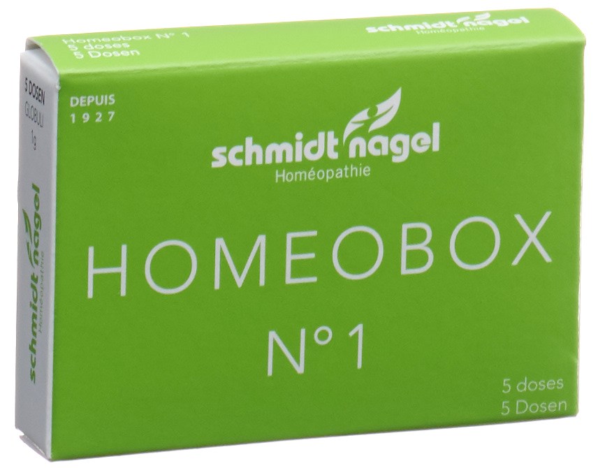 SCHMIDT-NAGEL HomeoBox 1, Hauptbild