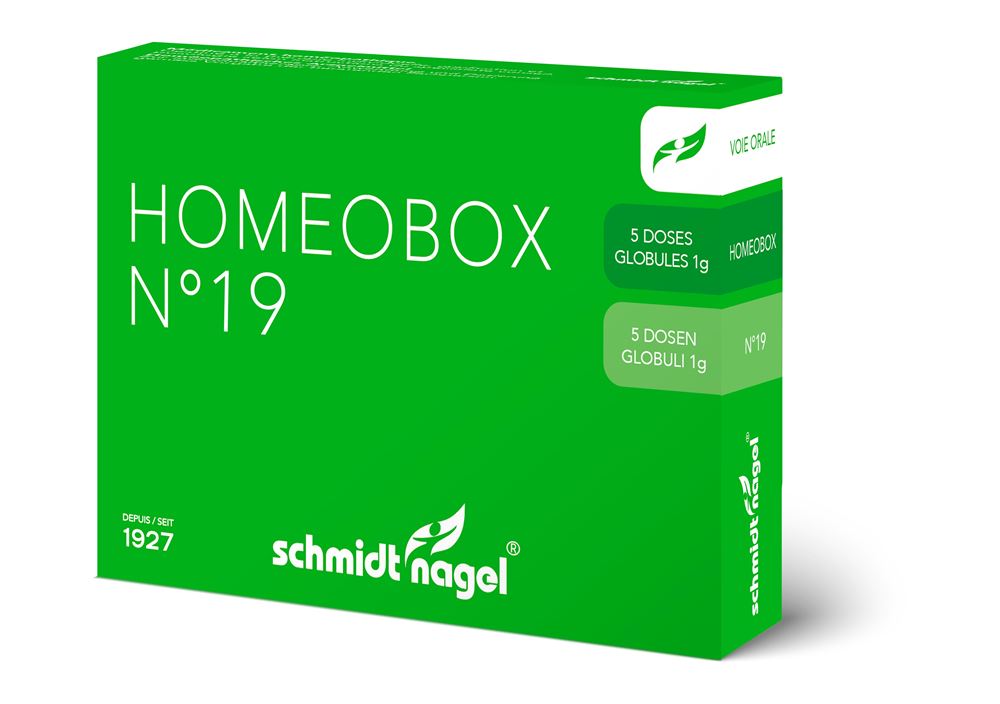SCHMIDT-NAGEL HomeoBox 19, Hauptbild
