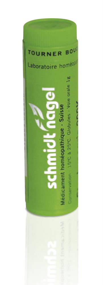 SCHMIDT-NAGEL rhus toxicodendron 200 CH, image principale
