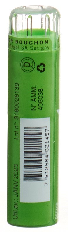 SCHMIDT-NAGEL Rhus Toxicodendron 9 CH, Bild 2 von 2