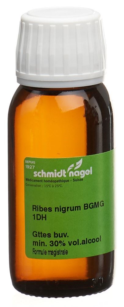 SCHMIDT-NAGEL Ribes nigrum BG 1 DH, Hauptbild