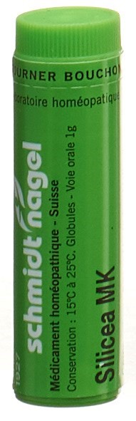 , immagine principale