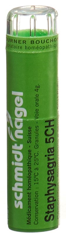 , immagine principale