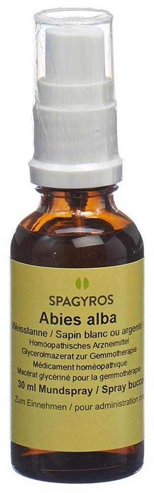 Spagyros Abies alba 1 D, Hauptbild