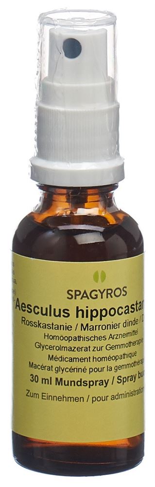 Spagyros Aesculus hippocastanum 1 D, Hauptbild