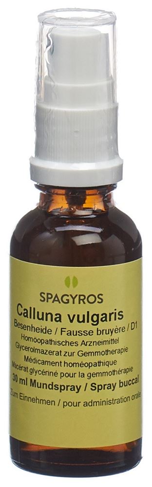 Spagyros Calluna vulgaris 1 D, Hauptbild