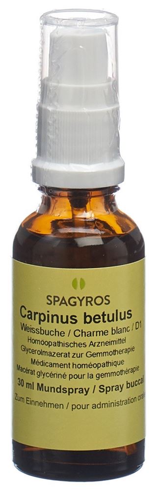 Spagyros Carpinus betulus 1 D