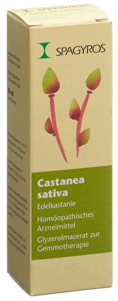 Spagyros castanea sativa 1 D, image principale
