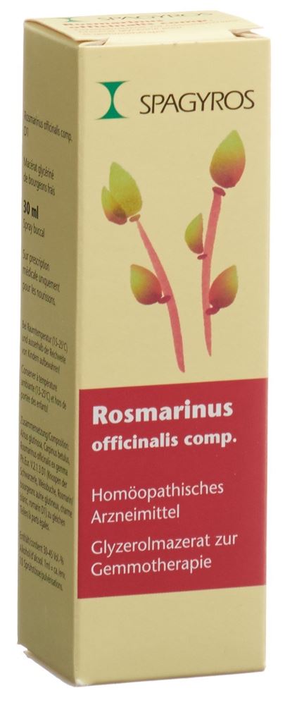 Spagyros Rosmarinus officinalis 1 D, Hauptbild