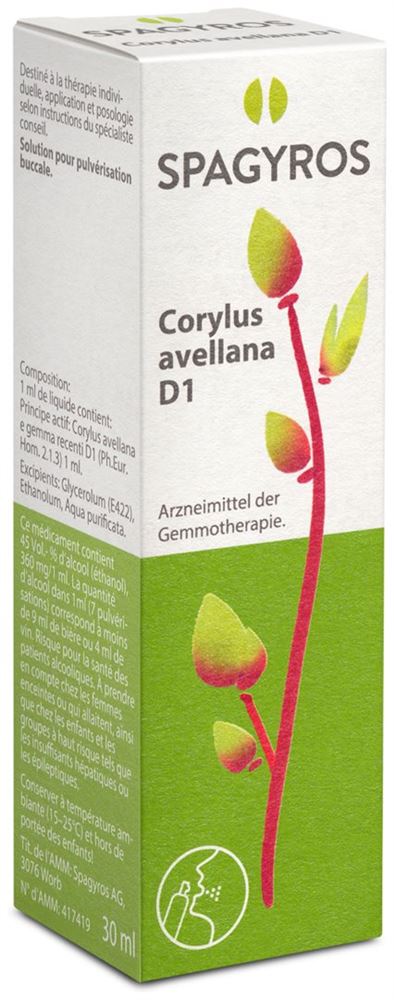 Spagyros Corylus avellana 1 D, Hauptbild
