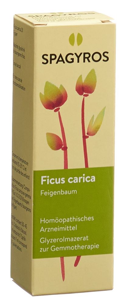 Spagyros Ficus carica 1 D, Hauptbild