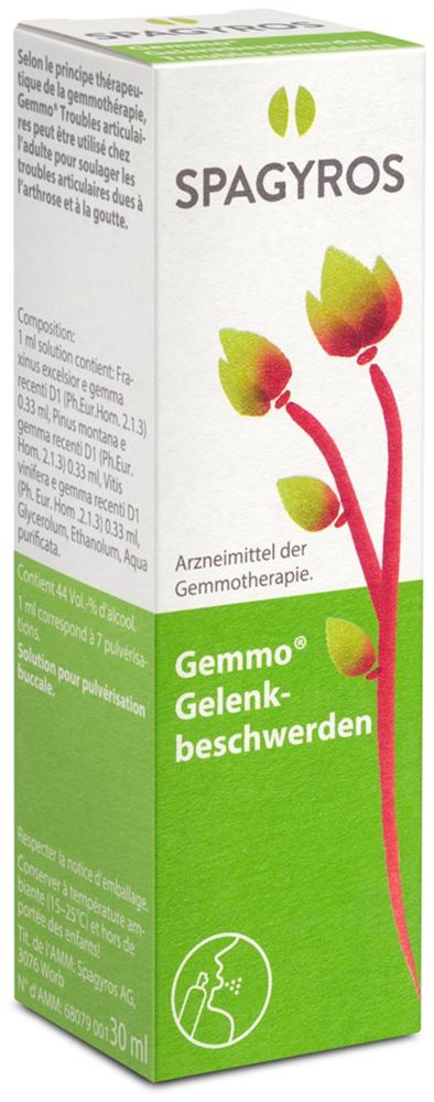 Spagyros Gelenkbeschwerden Mundspray