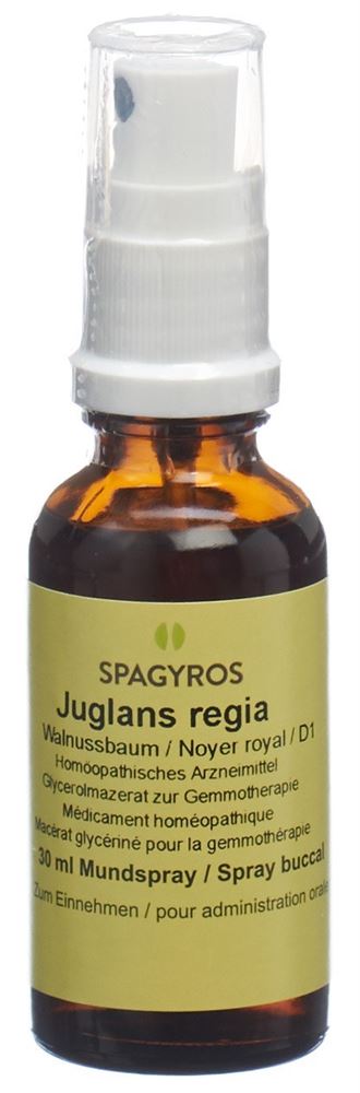 Spagyros Juglans regia 1 D, Hauptbild