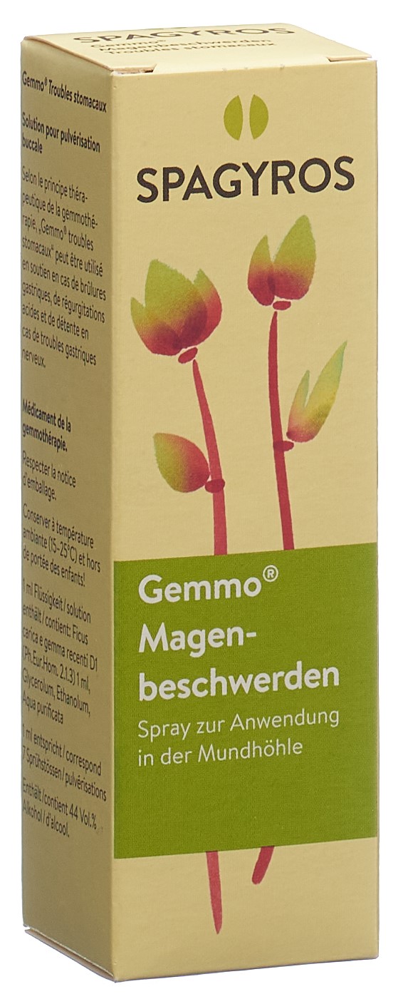 Spagyros Magenbeschwerden Mundspray, Hauptbild