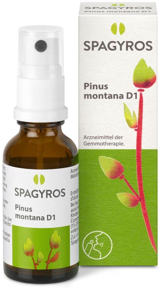Spagyros Pinus montana 1 D, Bild 2 von 2