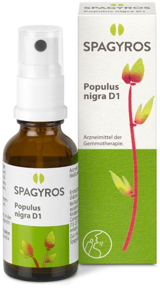 Spagyros Populus nigra 1 D, Bild 2 von 2