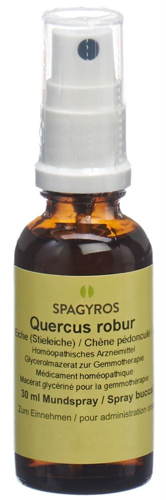 Spagyros Quercus robur 1 D, Hauptbild
