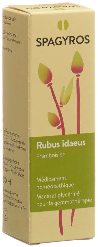 Spagyros Rubus idaeus 1 D, Bild 2 von 2