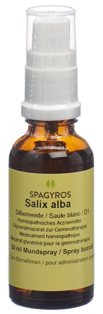 Spagyros Salix alba 1 D, Hauptbild