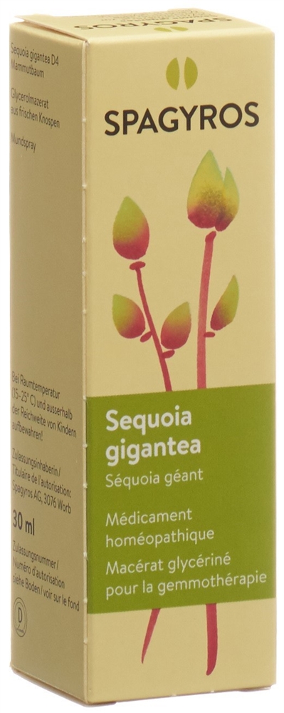 Spagyros sequoia gigantea 4 D, image 2 sur 2