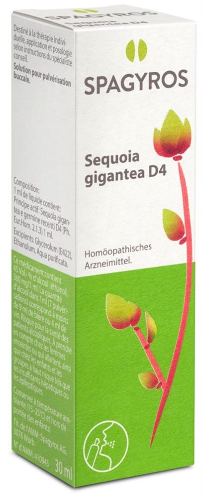Spagyros sequoia gigantea 4 D, image principale