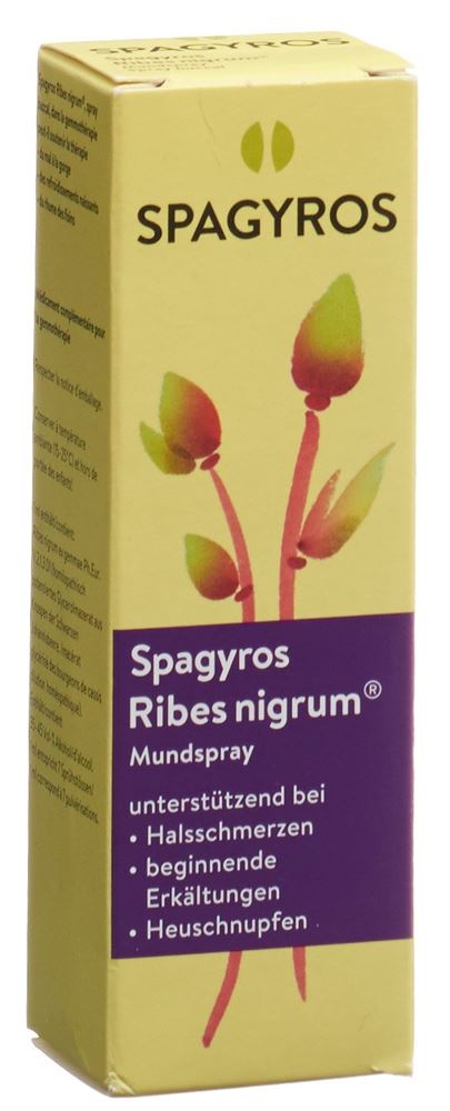 Spagyros Ribes nigrum Mundspray 1 D, Hauptbild