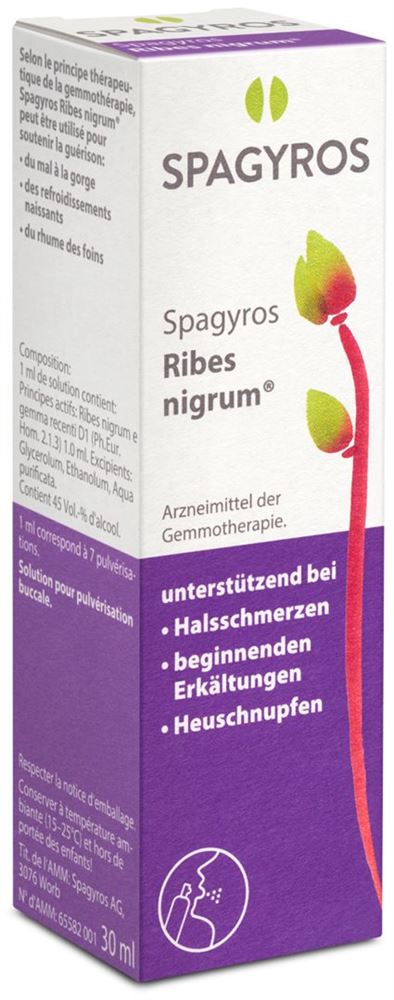 Spagyros Ribes nigrum Mundspray 1 D