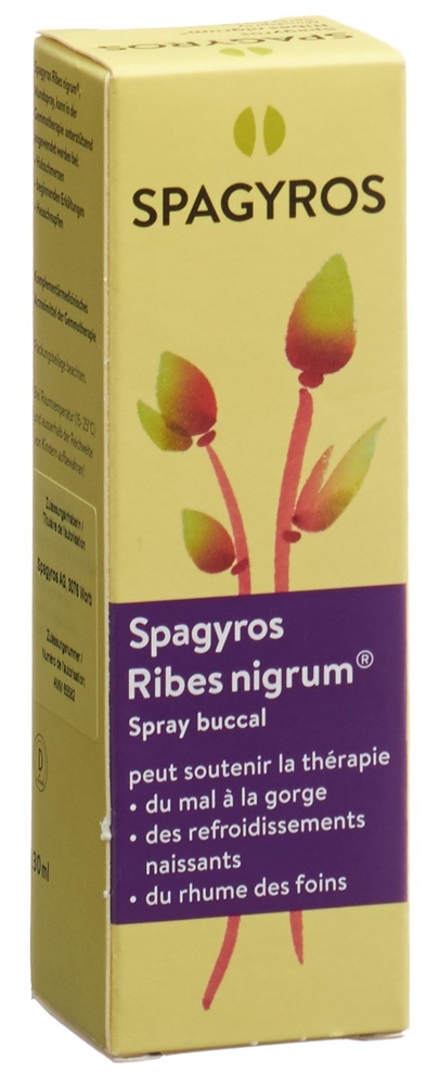 Spagyros ribes nigrum spray buccal 1 D, image 2 sur 2